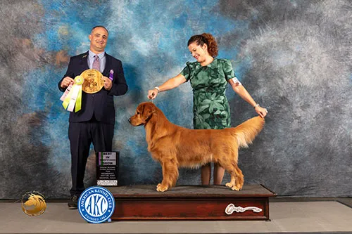 Julie's dog wins at dog show